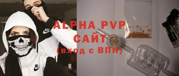 индика Армянск