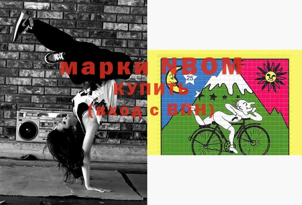 сатива Пересвет